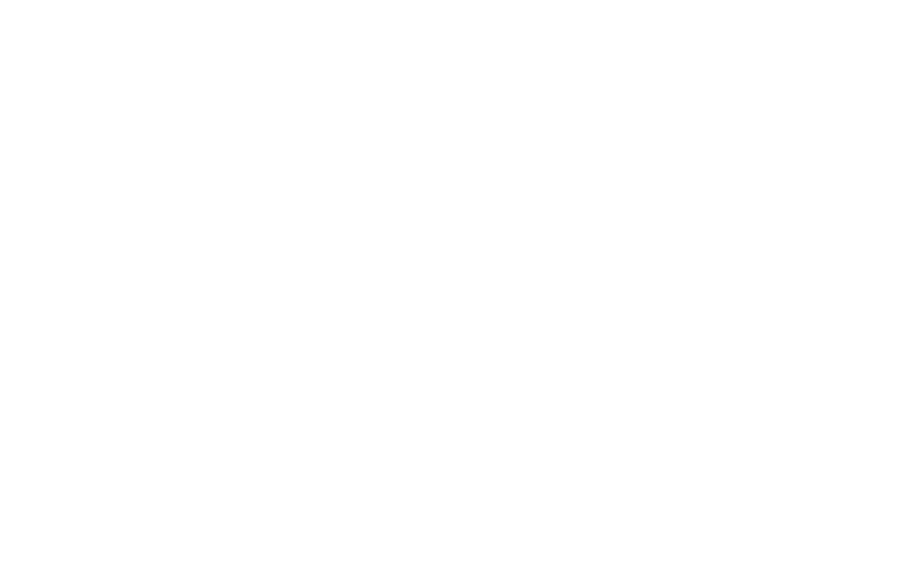 Rental server