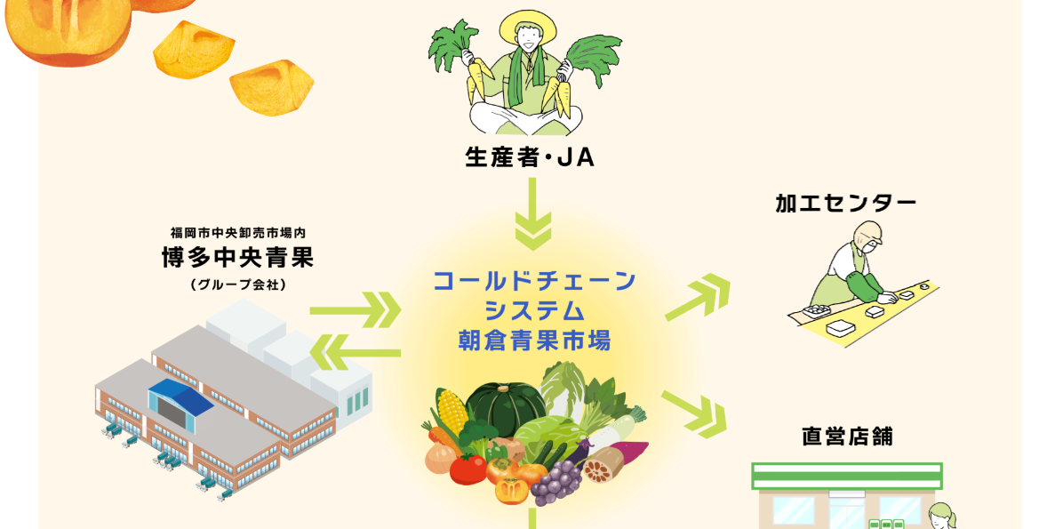 青果物の鮮度維持を支える朝倉青果市場のコールドチェーンシステム