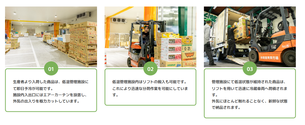 温度管理と鮮度維持を徹底する青果品質管理体制