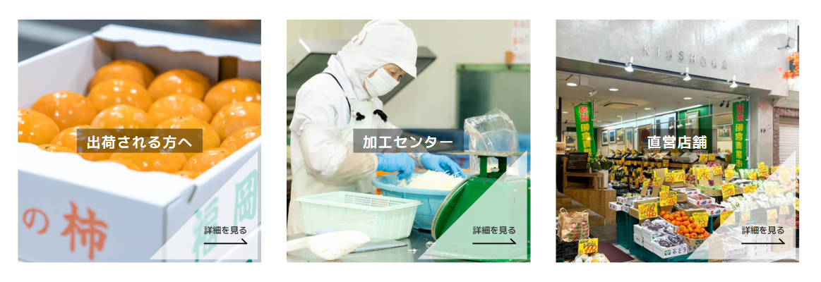 出荷・加工・販売まで対応する朝倉青果市場の市場機能案内