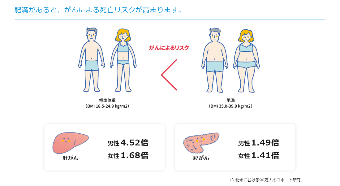 脂肪蓄積とメタボ関連がんリスクの関係解説