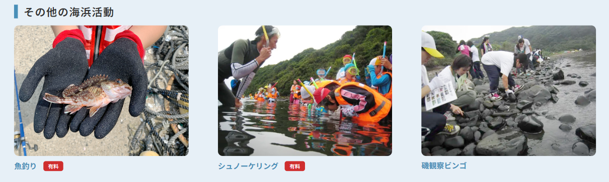 波戸岬少年自然の家_シュノーケリング体験