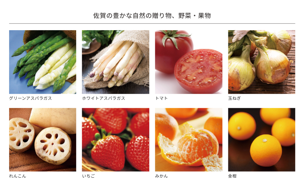 佐賀県産物産商品一覧・紹介
