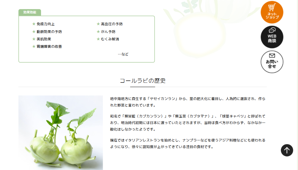 ヨーロッパ生まれの希少野菜コールラビの歴史