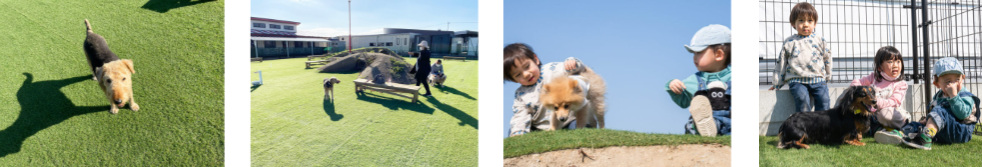 佐賀県神埼市のドッグラン 吉野berry