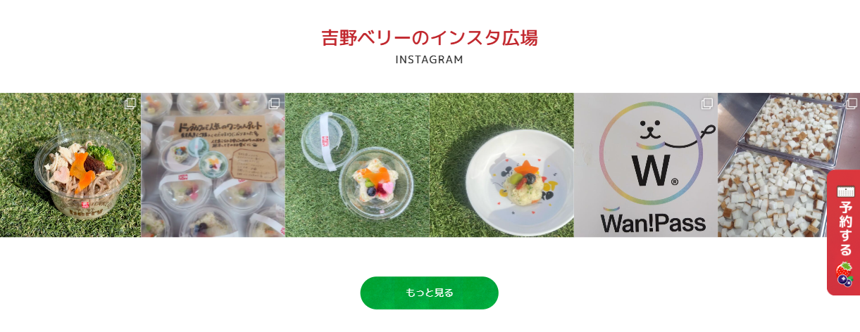 吉野berry公式Instagramでいちご狩りやドッグランの最新情報を発信