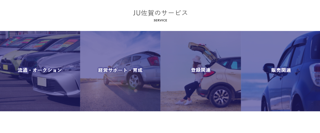 研修・オークション・販売促進などの会員向けサービス