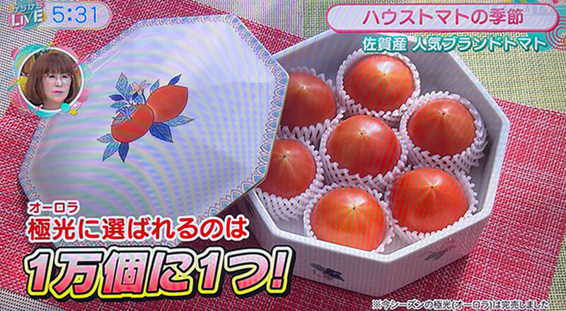 【2025年4月】サガテレビ取材風景6