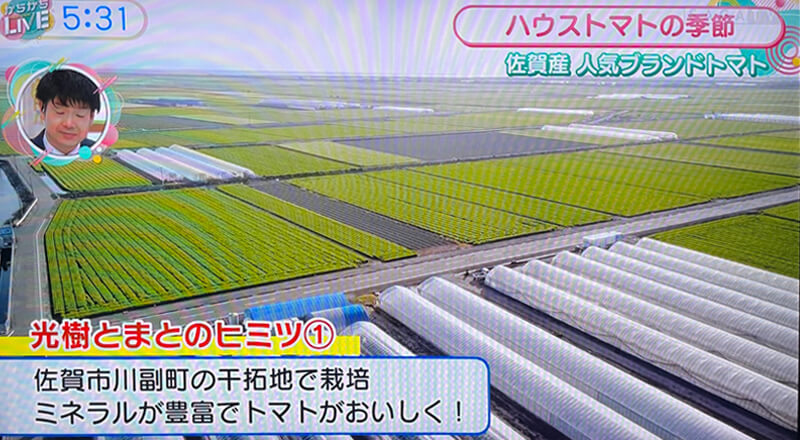 【2025年4月】サガテレビ放送内容1