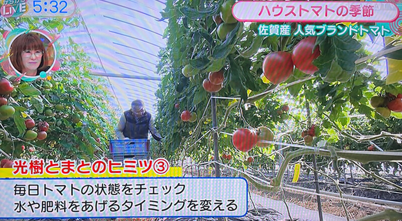 【2025年4月】サガテレビ放送内容3