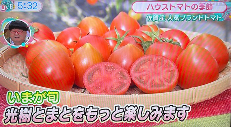 【2025年4月】サガテレビ取材風景4