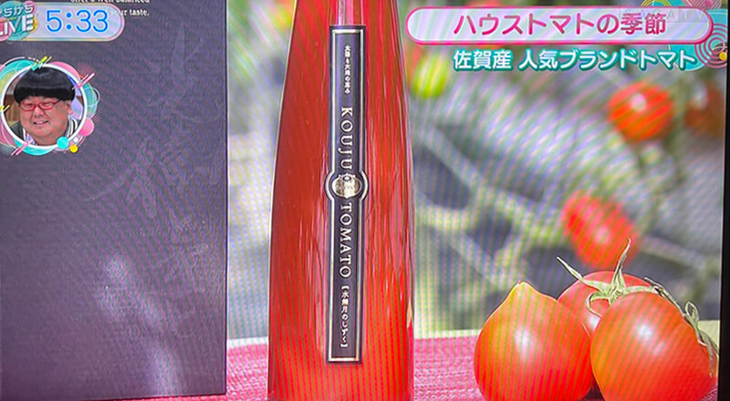 【2025年4月】サガテレビ放送内容5