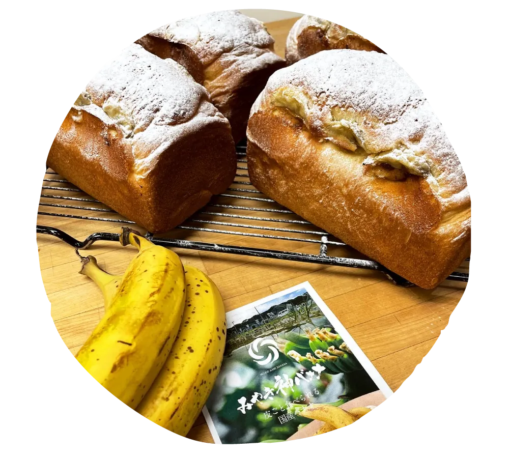 いろんな種類のパン