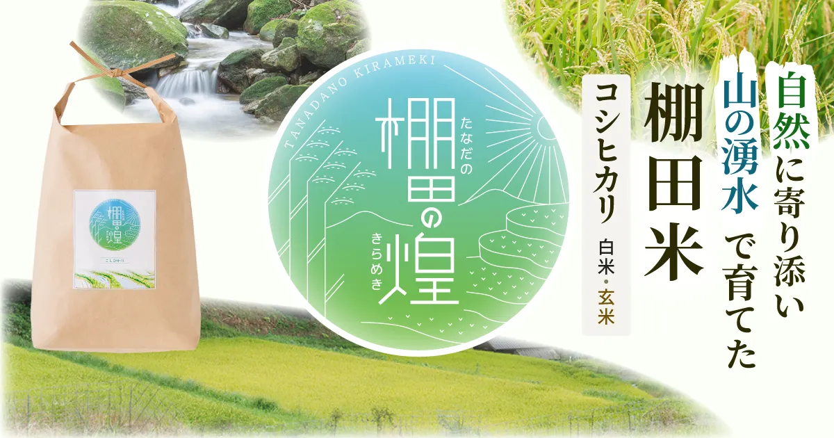 三瀬の湧き水で育った佐賀県産のお米 棚田の煌(コシヒカリ)｜さがまち