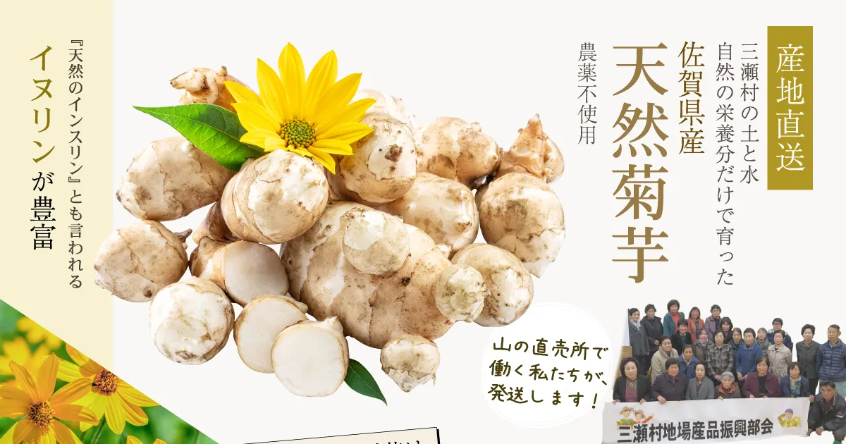 産地直送 佐賀三瀬で育った天然菊芋