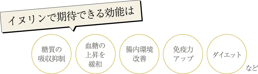 イヌリンで期待できる効能