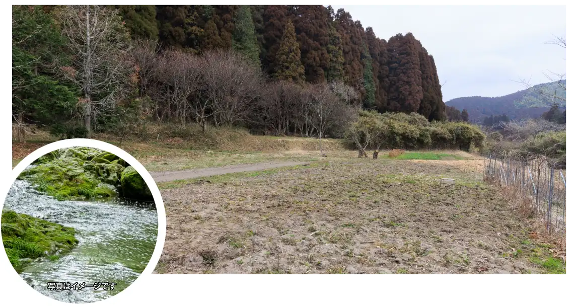 自然豊かな三瀬村で栽培しています。