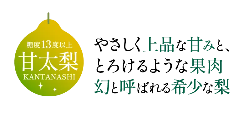 丸尾農園 甘太梨