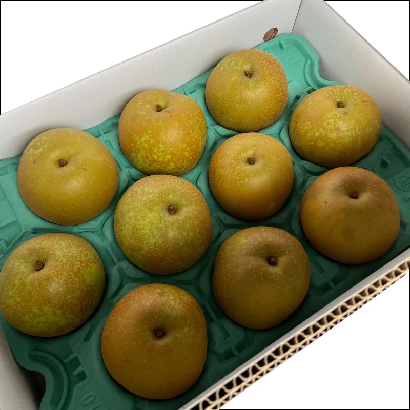 甘太梨5kg 【A品】〔10玉~14玉〕