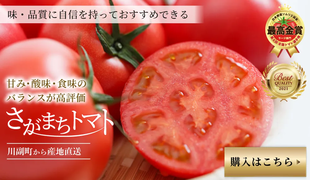 さがまちトマト