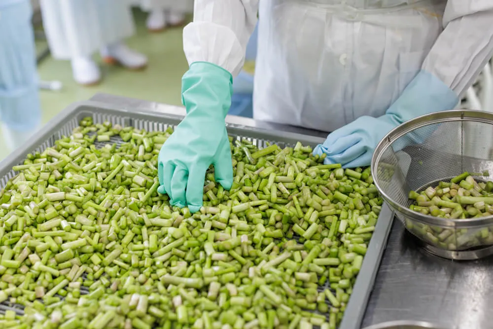 原料受入れ・予備処理