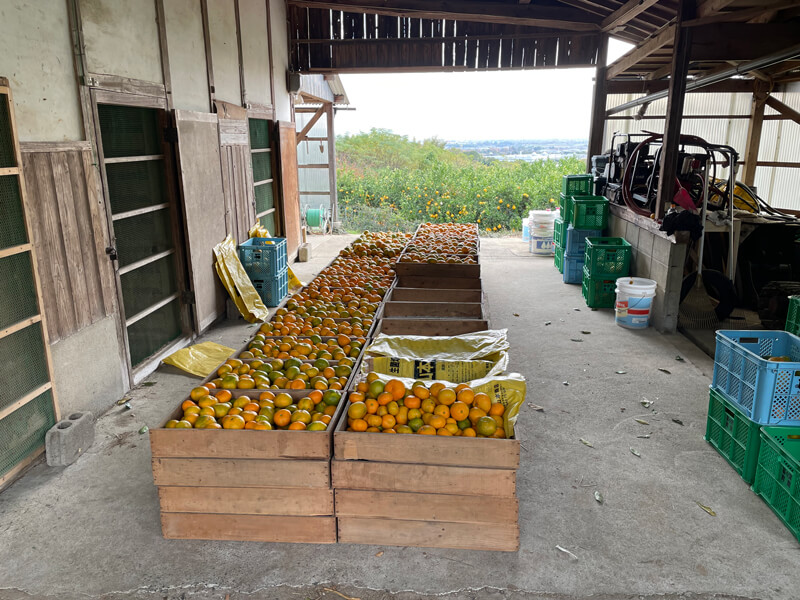 石橋果樹園の作業場1