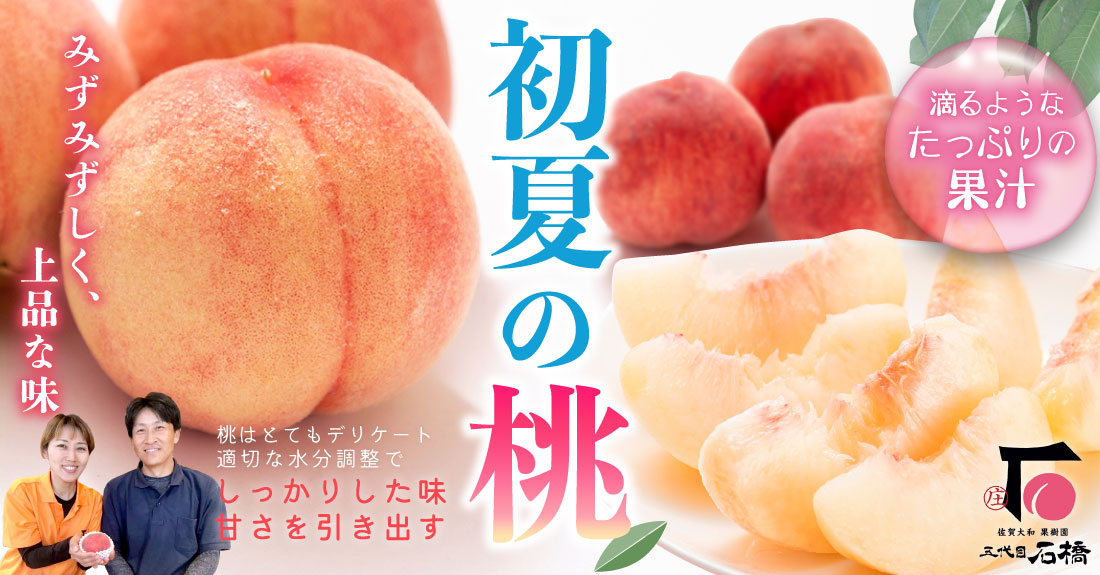 石橋果樹園白桃