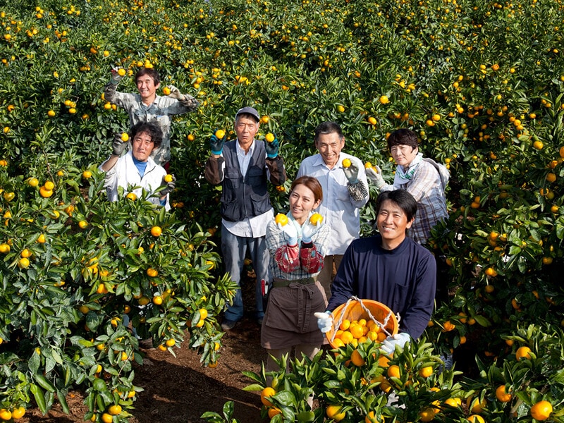 石橋果樹園の生産者