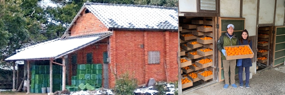 石橋果樹園の蔵