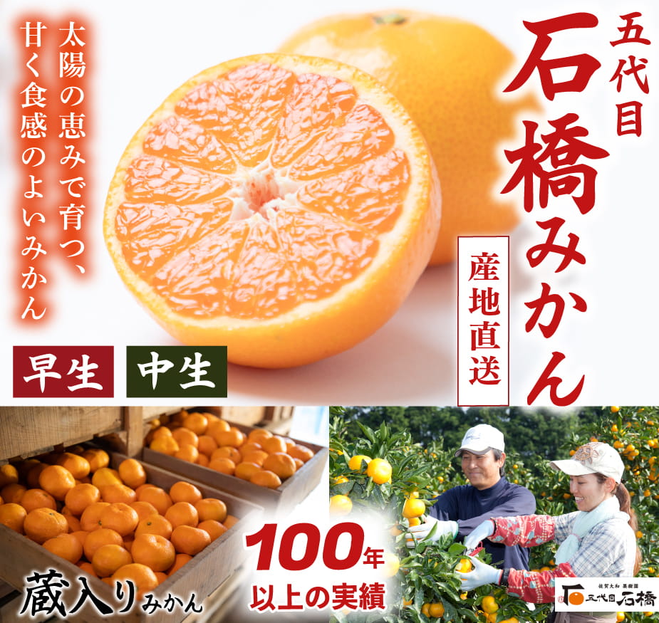 石橋果樹園みかん