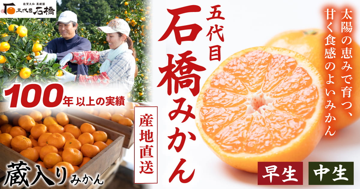石橋果樹園みかん