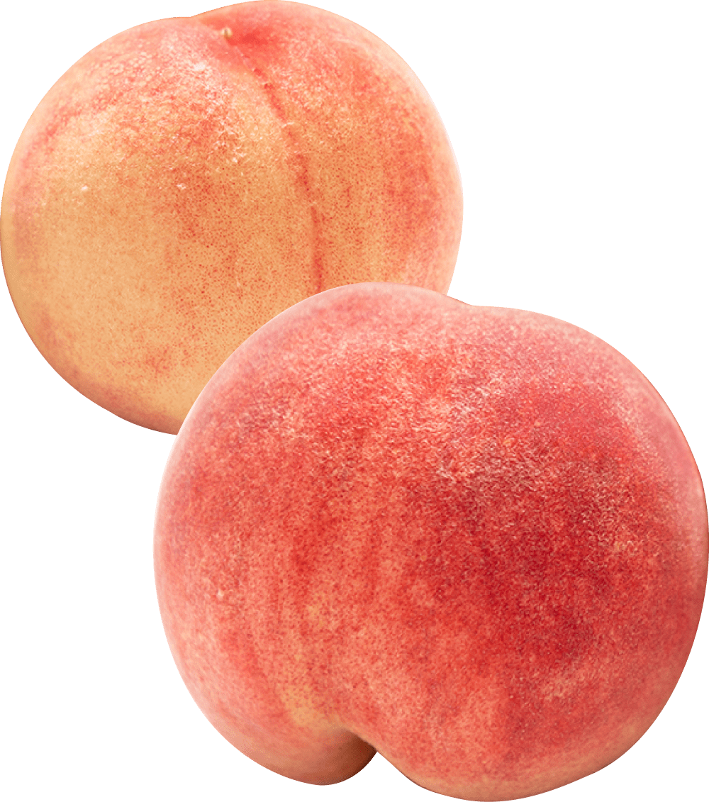 初夏の桃(8～10玉) | 商品一覧,果物,桃 | さがまちショップ
